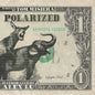 Polarized: Volume 1 - Paperback