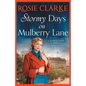 Stormy Days On Mulberry Lane - Paperback