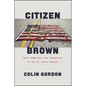 Citizen Brown: Race, Democracy, and Inequality in the St. Louis Suburbs - Paperback