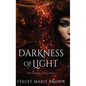 Darkness of Light - Hardcover