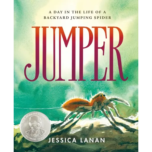 Jumper: A Day in the Life of a Backyard Jumping Spider - Hardcover