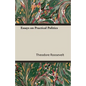Essays on Practical Politics - Paperback