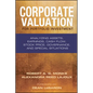Corporate Valuation for Portfolio Investment: Analyzing Assets, Earnings, Cash Flow, Stock Price, Governance, and Special Situations - Hardcover