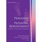 Perinatal and Pediatric Bereavement in Nursing and Other Health Professions - Paperback