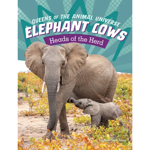 Elephant Cows: Heads of the Herd - Hardcover