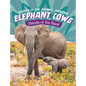 Elephant Cows: Heads of the Herd - Hardcover