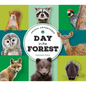 Animal Adventures: Day in the Forest - Board Book