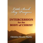 Little Book, Big Prayers: Intercession for the Body of Christ - Paperback