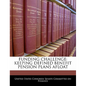 Funding Challenge: Keeping Defined Benefit Pension Plans Afloat - Paperback
