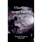 Charlotte meets herself - Paperback