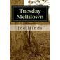Tuesday Meltdown: One man, Jason Henderson, struggles to preserve the safety and freedom of his family and community in the face of econ - Paperback