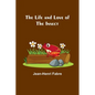 The Life and Love of the Insect - Paperback