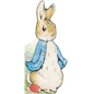 All about Peter - Board Book
