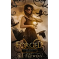 Forged: Valkyrie Allegiance Books 1-3 Complete Series - Paperback