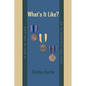 What's It Like?: A Day in the Life of a 'Clinton' Soldier - Hardcover