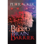 Blood Brain Barrier - Paperback