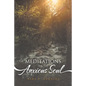 Meditations for the Anxious Soul - Paperback
