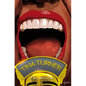 Tribute: Tina Turner - Hardcover