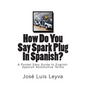 How Do You Say Spark Plug In Spanish?: A Pocket Easy Guide to English-Spanish Automotive Terms - Paperback