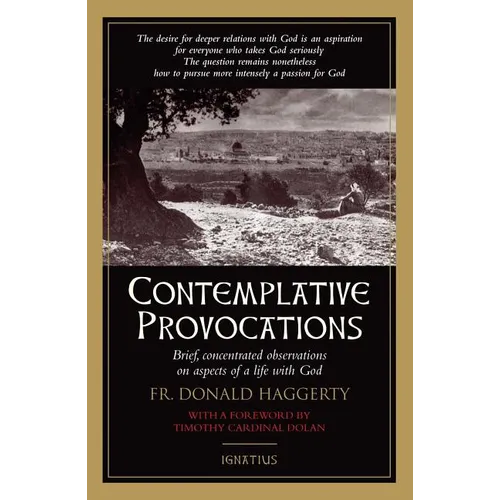 Contemplative Provocations: Brief, Concentrated Observations on Aspects of a Life with God - Paperback