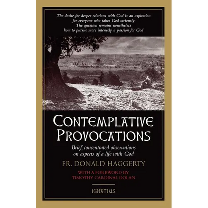 Contemplative Provocations: Brief, Concentrated Observations on Aspects of a Life with God - Paperback