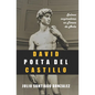 David Poeta del Castillo: Salmos Inspiradores en Teresa de Avila - Paperback