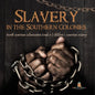 Slavery in the Southern Colonies North American Colonization Grade 3 Children's American History - Paperback