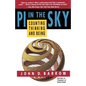 Pi in the Sky: Counting, Thinking, and Being - Paperback