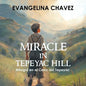 Miracle in Tepeyac Hill: Milagro en el Cerro del Tepeyac - Paperback