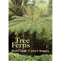 Tree Ferns - Paperback