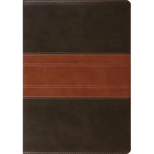 Study Bible-ESV-Trail Design - Imitation Leather