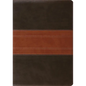 Study Bible-ESV-Trail Design - Imitation Leather