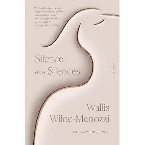 Silence and Silences - Paperback