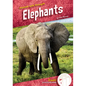 Elephants - Library Binding