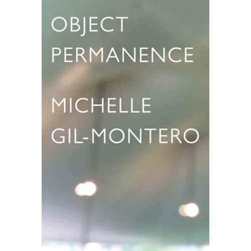 Object Permanence - Paperback