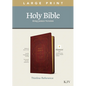 KJV Large Print Thinline Reference Bible, Filament Enabled Edition (Red Letter, Leatherlike, Burgundy) - Imitation Leather