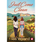 Just Come Clean - Paperback