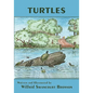 Turtles - Paperback