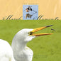 Marsh Moments: Northcoast - Paperback
