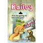 A Tale From A Fox Hound Beagle Named Bailey: Are we going to the lake yet? - Paperback