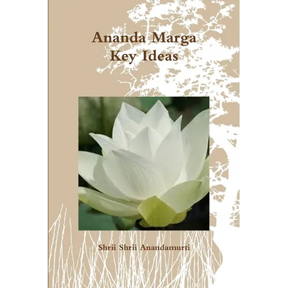 Ananda Marga Key Ideas - Paperback