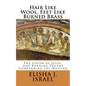 Hair Like Wool, Feet Like Burned Brass: The Color of Jesus, and Burning Truths Concerning the Messiah - Paperback