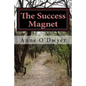 The Success Magnet: A Compilation of My Articles to Guide You - Paperback
