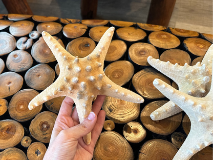 Large Natural Tan Knobby Starfish