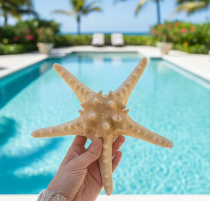 Large Natural Tan Knobby Starfish