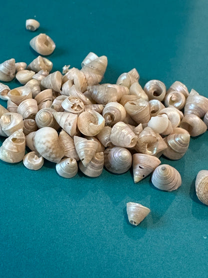 1 oz Mini Pearl Trochus Venetian Pearls