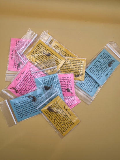 Dried Seahorses – Vintage Preserved Craft for DIY & Ocean Projects