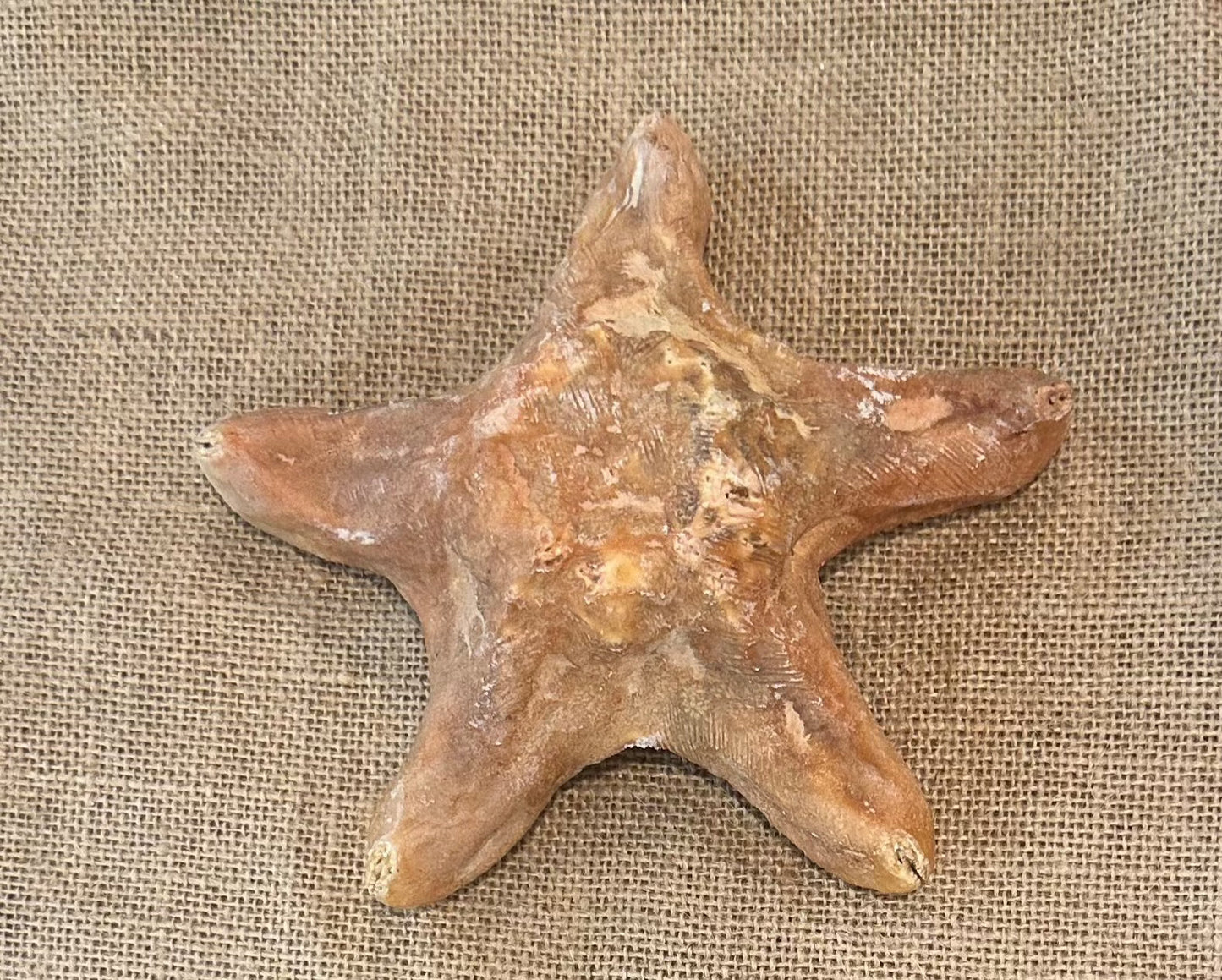 Red Wax Starfish 6"