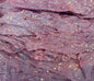 Spicy back pepper Beef Jerky - Khô Bò Tiêu Đen xông khói Cay - 0.5 lb