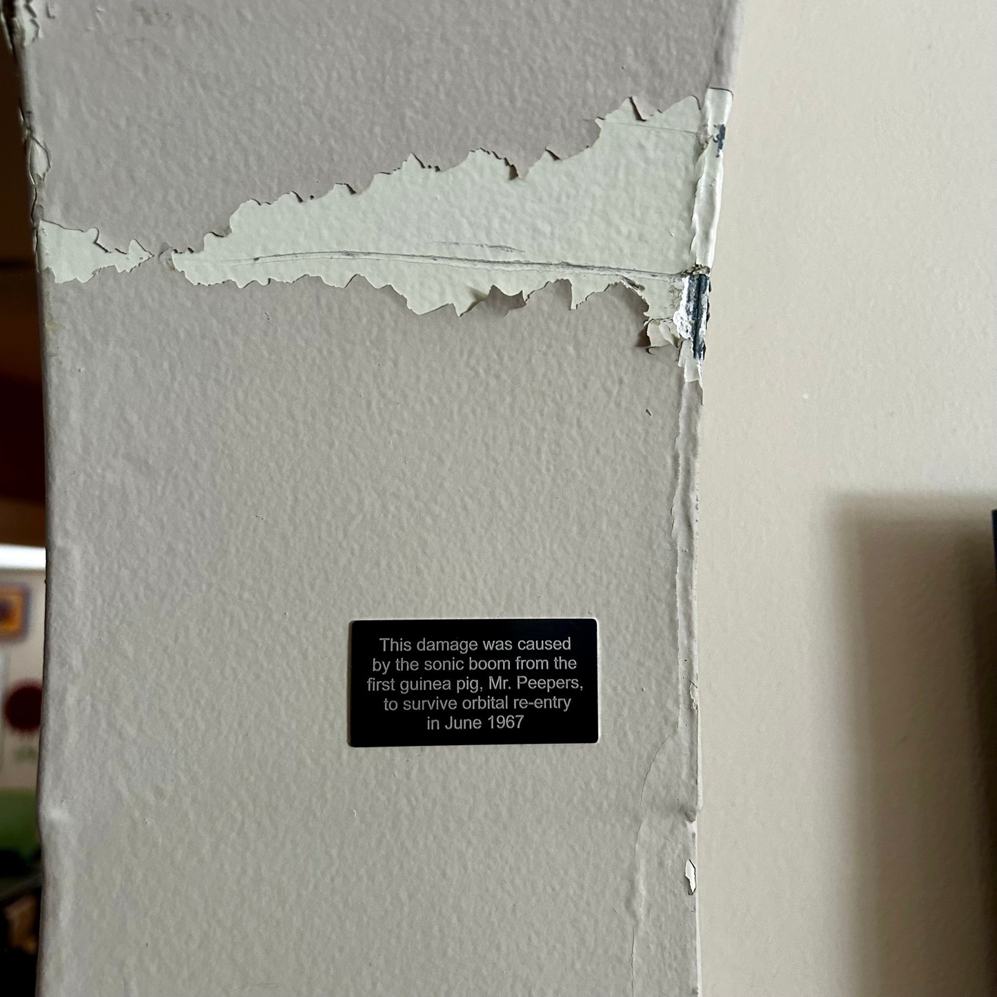 Prank Historical Plate Set